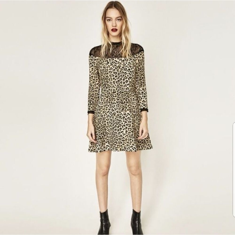 Zara leopard dress NWT